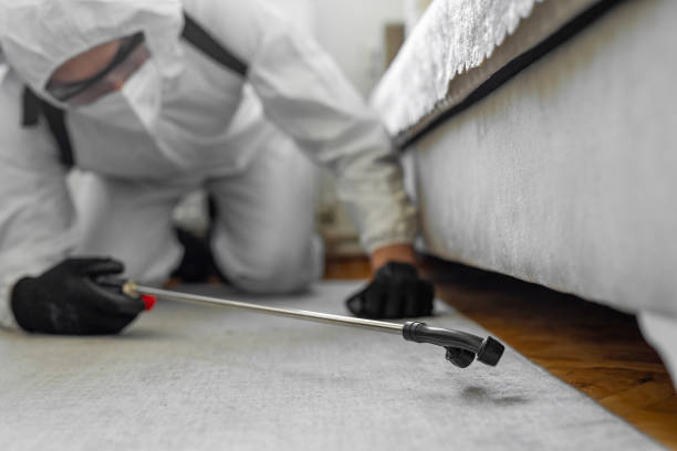Professional Fumigation Services technician working in Assumption, IL