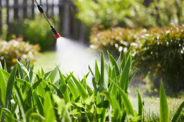 24/7 Emergency Fumigation Services experts in Assumption, IL