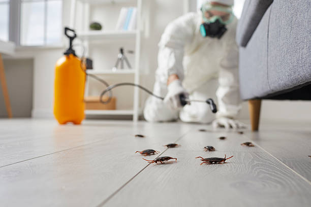 Affordable Fumigation Services solutions in Assumption, IL